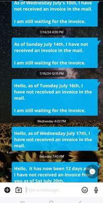 Romero’s Gardening