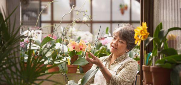 Harper Davis Home Care