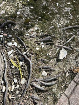 Ocean Wave Beach Wear