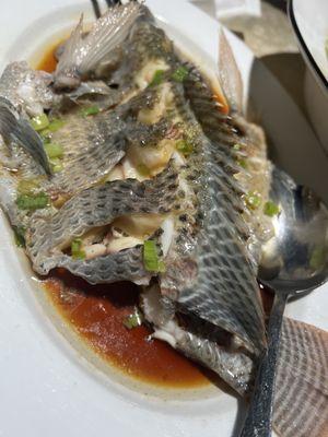 Sichuan Cuisine