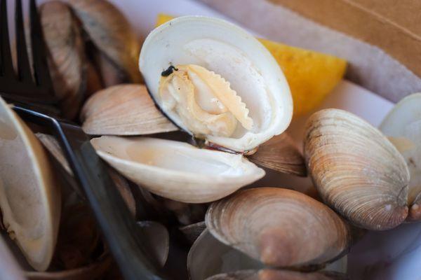 Steamed clams
