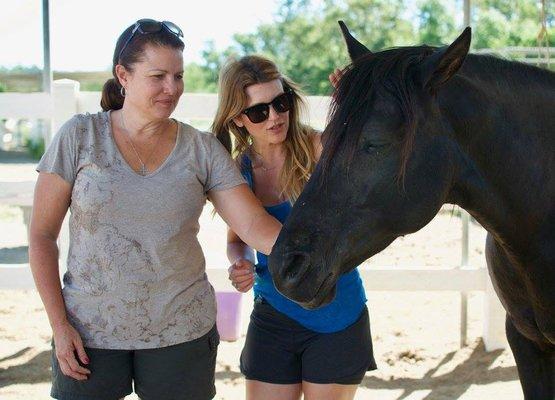 Peaceful Hearts For Change