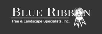 Blue Ribbon Tree & Landscape Specialists