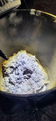 Paynefully Clean & Handy Services