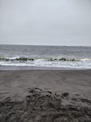 Navarro River Redwoods State Park