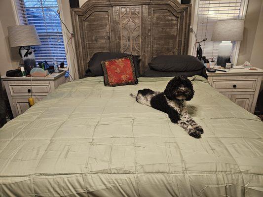 Mattresses Plus More