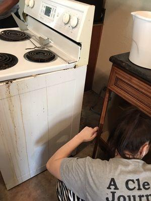 Safari Cleaning Services