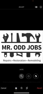 Mr Odd Jobs