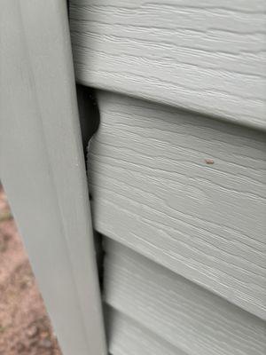 holes in siding
