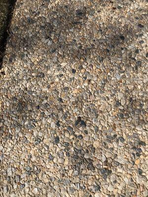 Indiana pea gravel Exposed aggregate