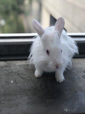 Eden Pet Supplies & Aquarium