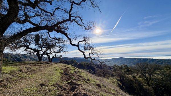 Henry W Coe State Park