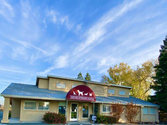 Vineyard Veterinary Hospital