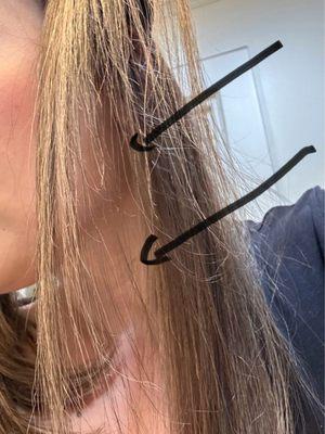 You can see the missing hair from bleach