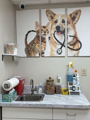 Animal Clinic of Wekiva