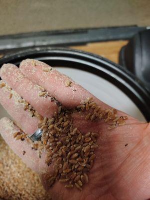 Leaktite Corporation