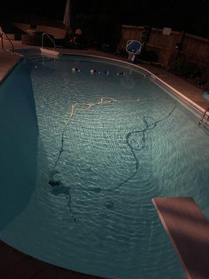 Life Line Pool and Spa