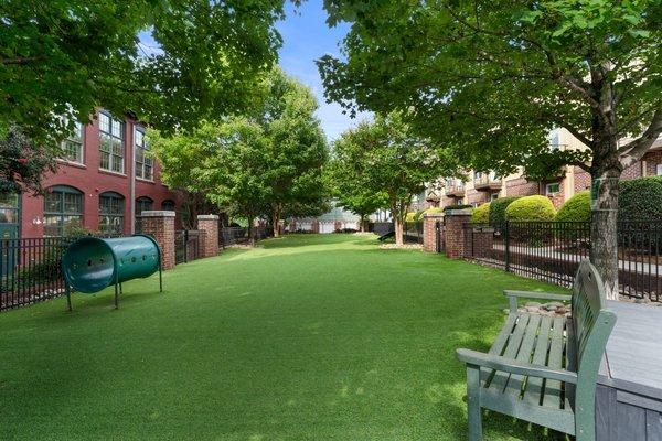 Alpha Mill Apartments