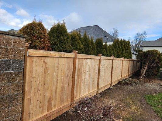 Green Space Landscape