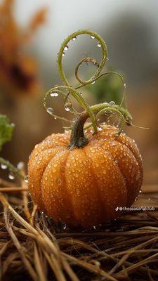 Goodwill Industries of the Columbia Willamette