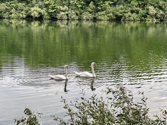 Lake Milton / Berlin Lake Koa Holiday