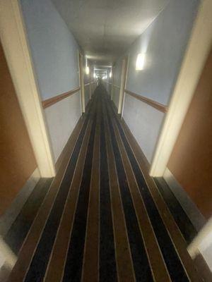 This is the hall appearance. Dark, scary, nasty floor. Btw house keeping was non English speakers.