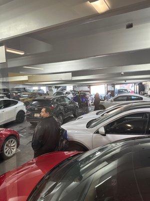 Hertz Rent A Car