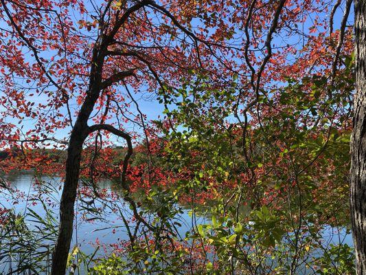 Some fall foliage already showing...