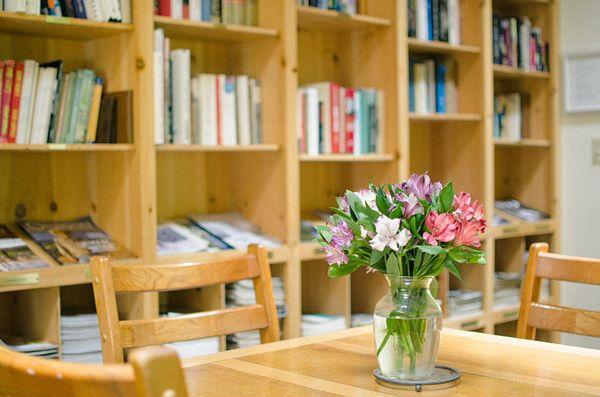 Taylor Photography and Web Design