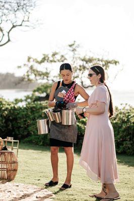 Oysters Hawaii