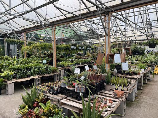 Hewitts Garden Center- Queensbury