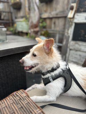 Santa Barbara Wine Therapy