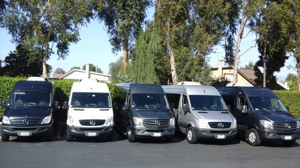 Mercedes Sprinter vans can accommodate up to 14 passengers