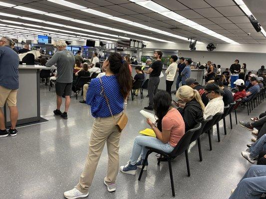 Department of Motor Vehicles