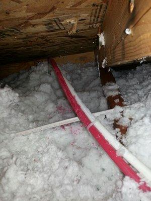 This is what pex pipe looks like after rats in the attic eat it!