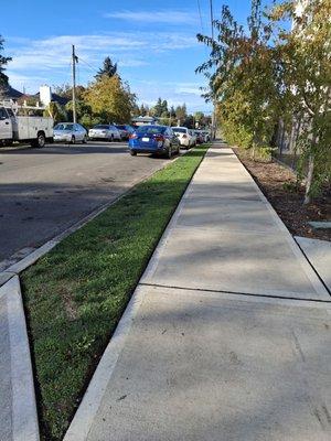 Landscape & Gardening Alcasillas Kent