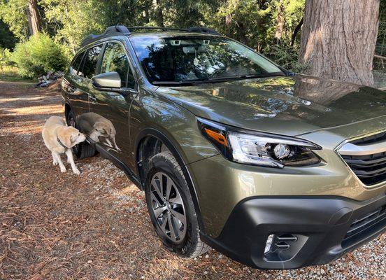 Magic Touch Auto Detailing