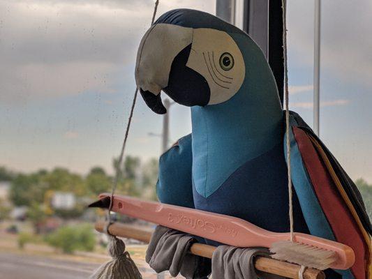 William R. Burns, DDS