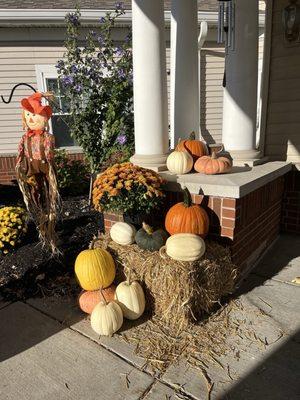 Awald's Giant Pumpkin Farm
