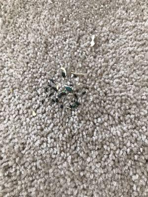 Mouse poop on/in our items. Don't use them if you truly want a pest controlled unit.