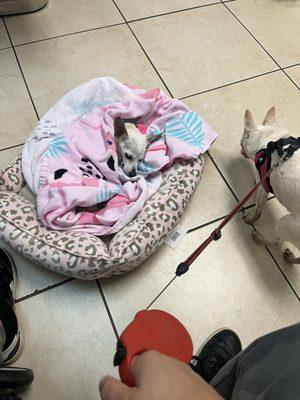 St. Cloud 192 Pet Hospital