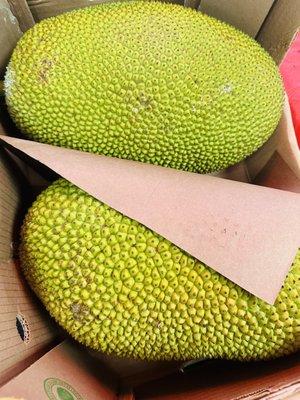 Jackfruit whole $1.49/lb prices may change