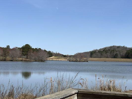 Little Mulberry Park