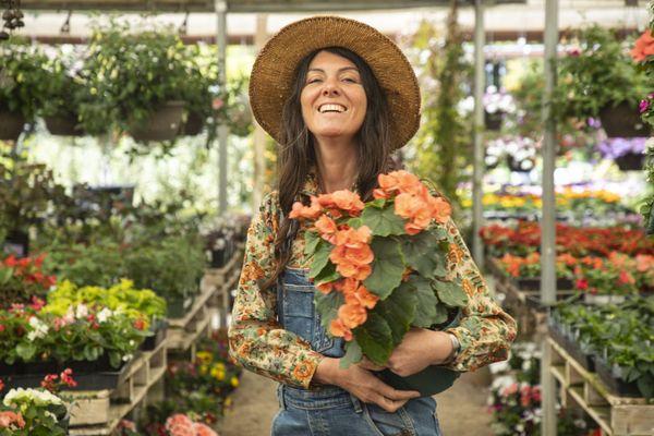 Valley Hills Nursery