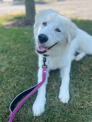 Walks With Jay & Aarion