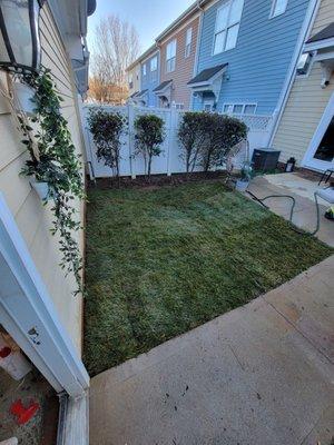Juarez A&J Landscaping