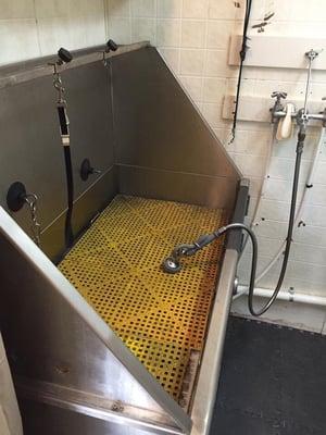 Melinda's Canine Cuts