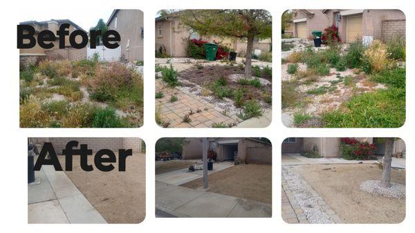 Weed Abatement in Winchester