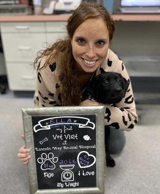 CareVet of Lincoln Way
