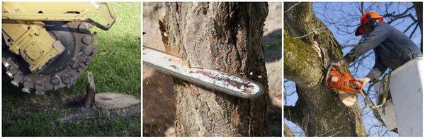 Clear Water Cleaning & Landscaping